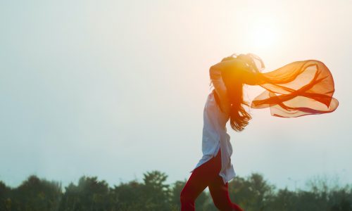 La Ruota del Ciclo – le fasi e i doni del ciclo mestruale